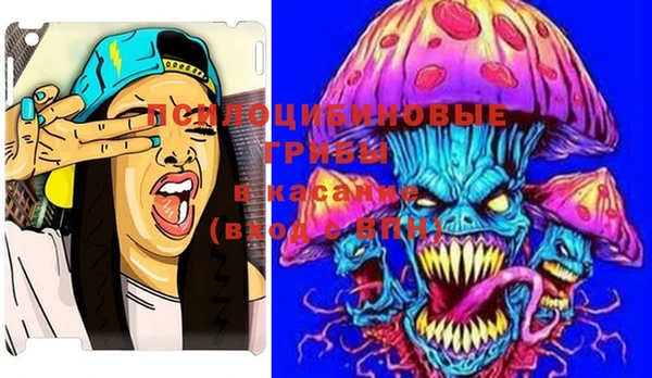 марки lsd Богородицк