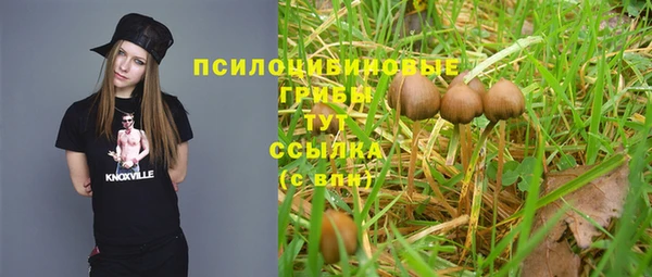 кокс Богданович