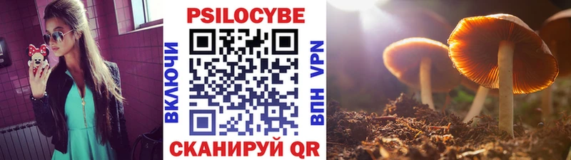 магазин продажи   Трубчевск  Галлюциногенные грибы Magic Shrooms 