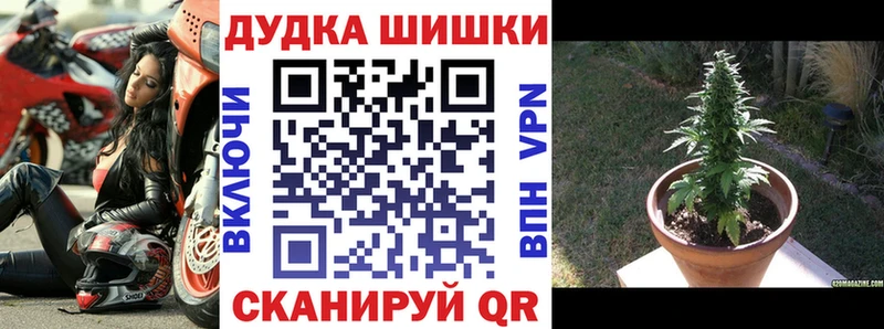 Бошки Шишки Ganja  Трубчевск 